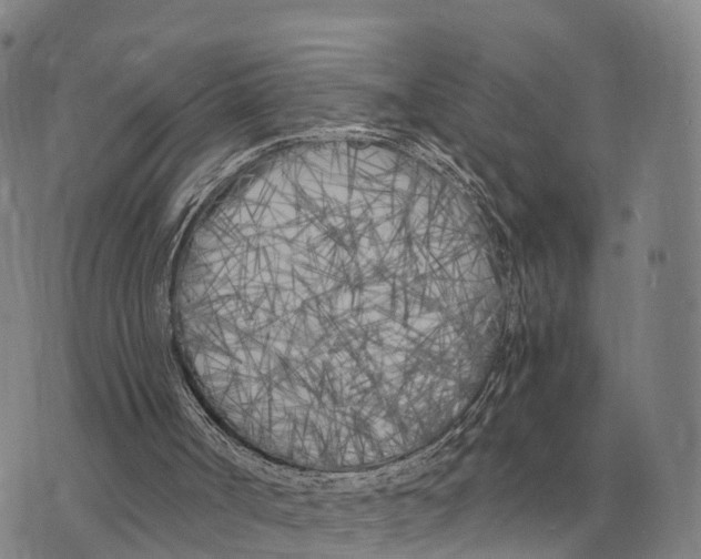 X0000073720002200608311831