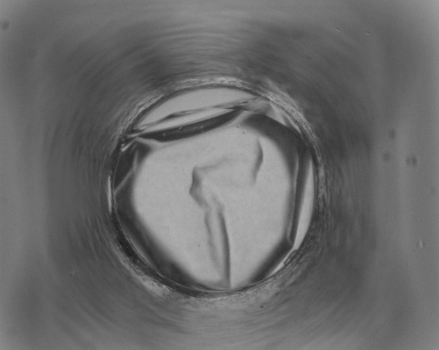 X0000073720013200608311831