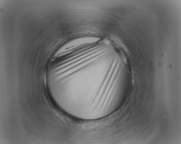 X0000073720021200608311831
