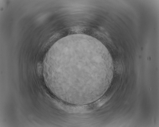 X0000073720036200608311831