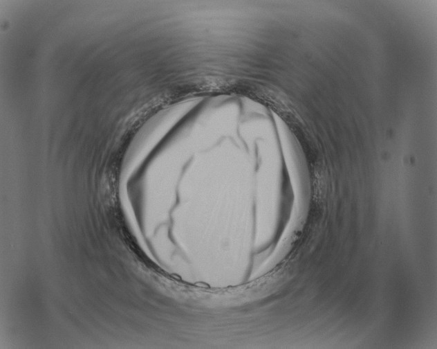 X0000073720043200608311830