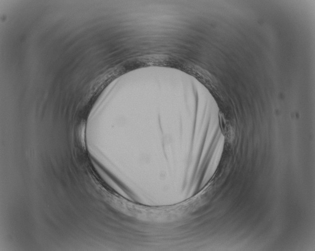 X0000073720047200608311830