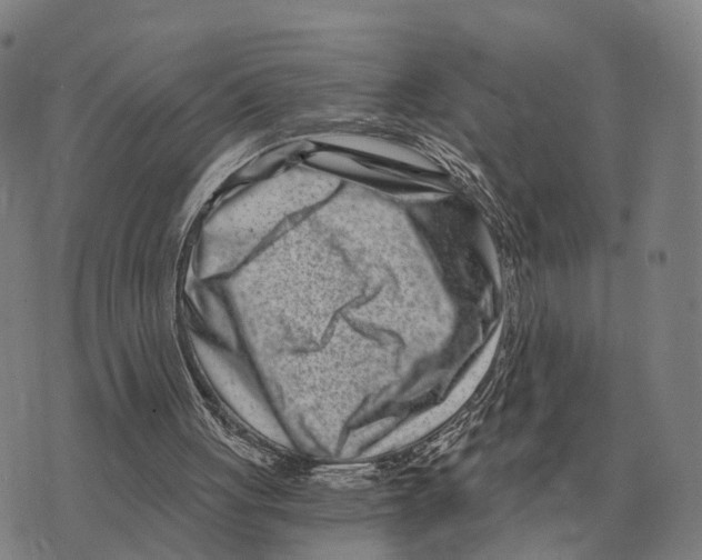 X0000073720051200608311830