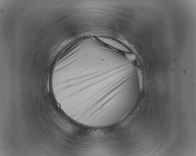 X0000073720062200608311830
