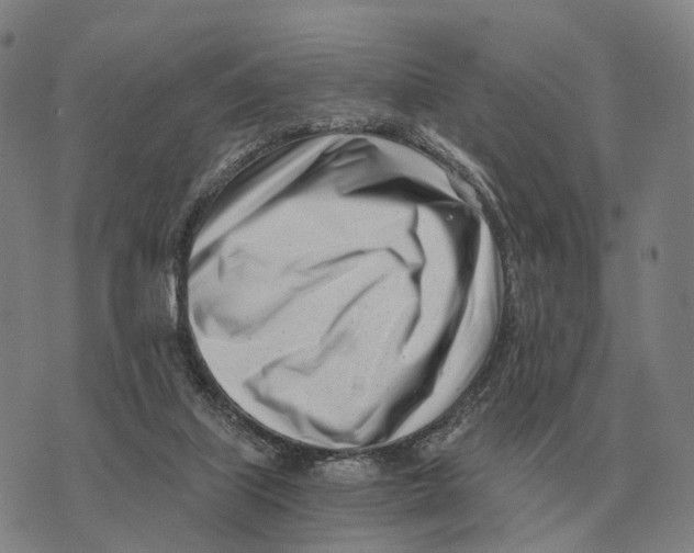X0000073720067200608311830