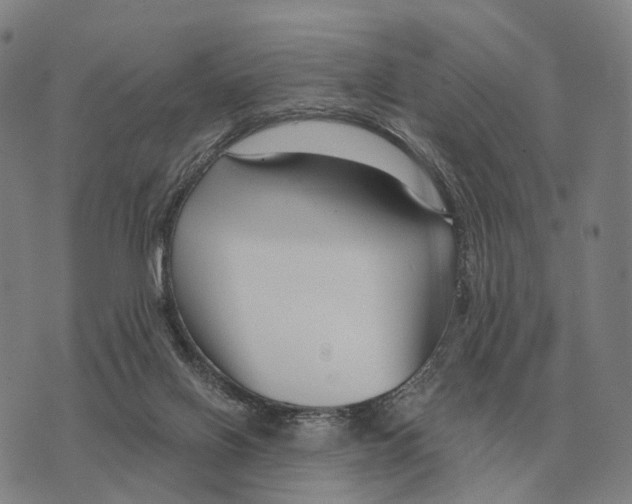 X0000073720070200608311830