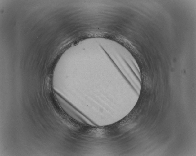 X0000073720071200608311830