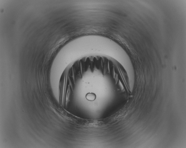 X0000073720072200608311830