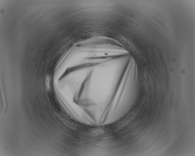 X0000073720075200608311830