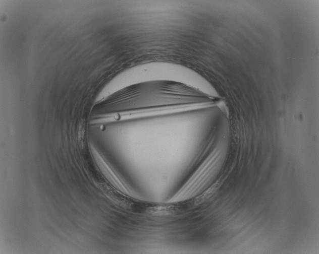 X0000073720082200608311830