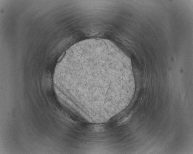 X0000073720085200608311830