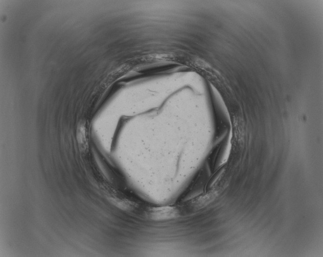 X0000073720087200608311830