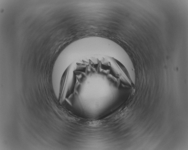 X0000073720088200608311830