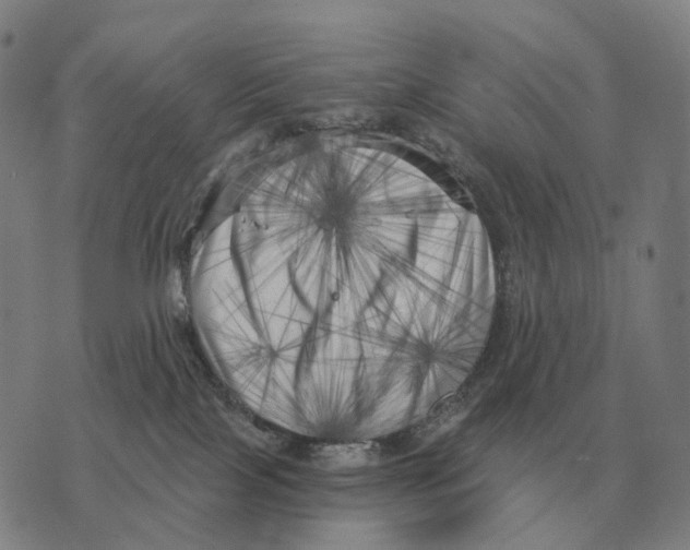 X0000073720089200608311830