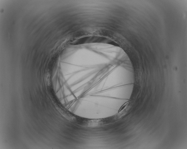 X0000073720090200608311830
