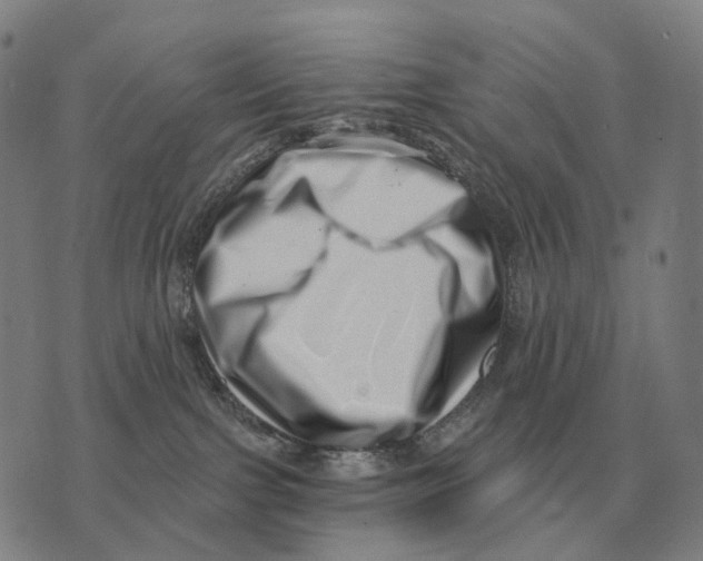 X0000073720091200608311830
