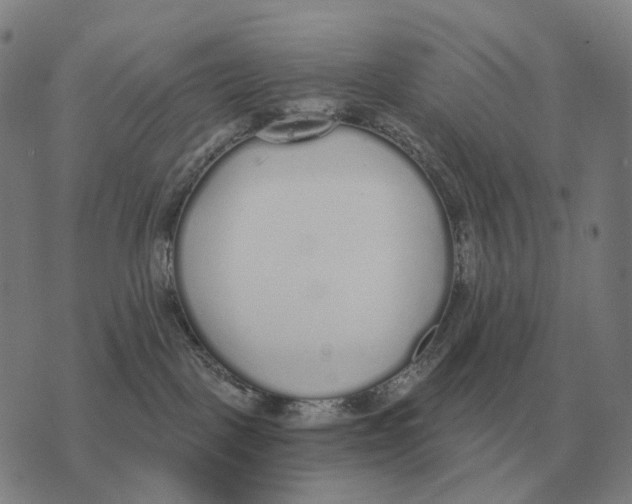 X0000073720093200608311830