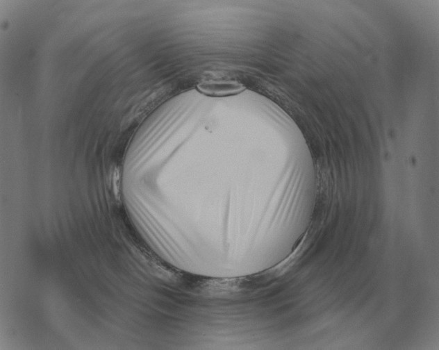 X0000073720094200608311830