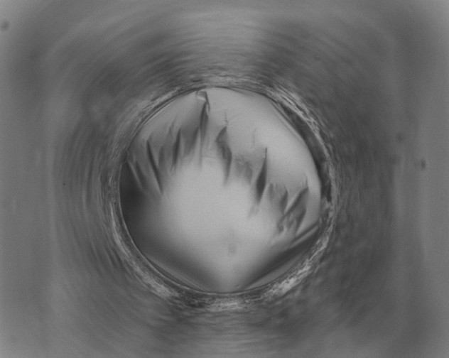 X0000073720097200608311830
