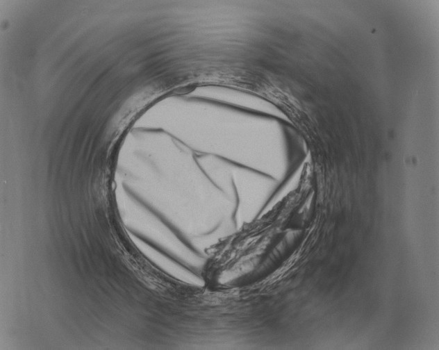 X0000073720098200608311830