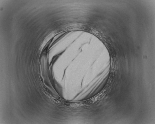 X0000073720099200608311830