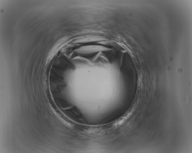 X0000073720101200608311829