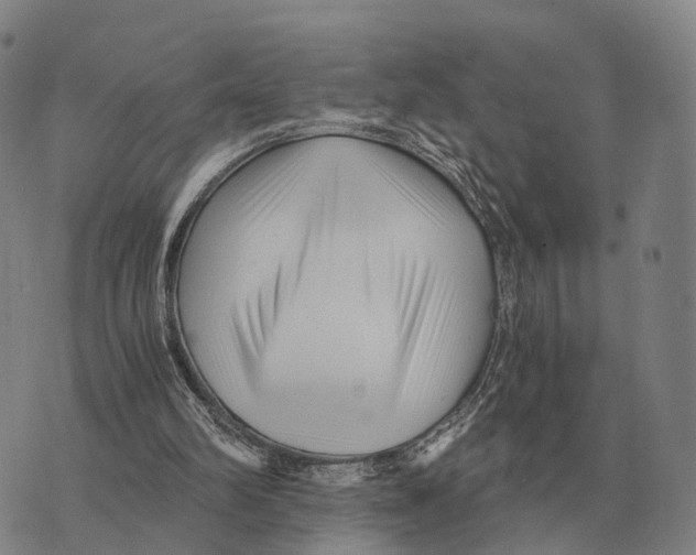 X0000073720102200608311829