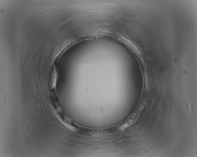 X0000073720105200608311829
