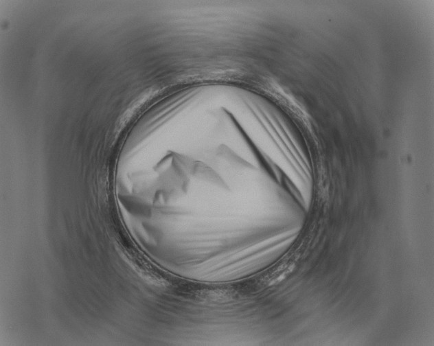X0000073720107200608311829