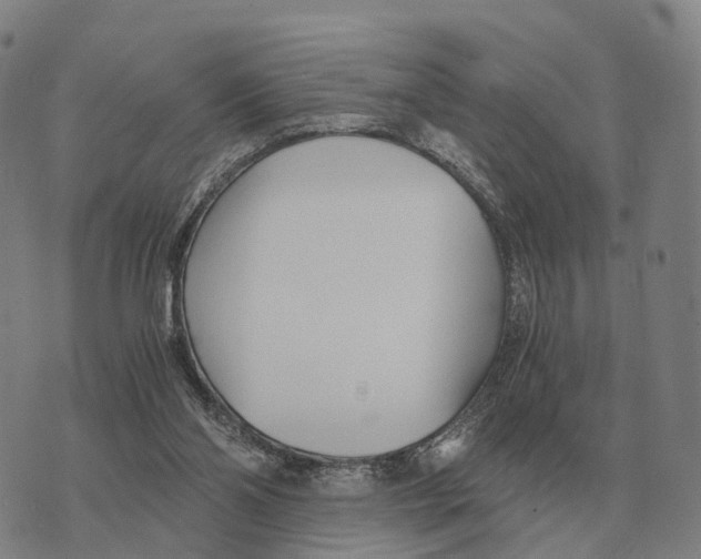 X0000073720110200608311829
