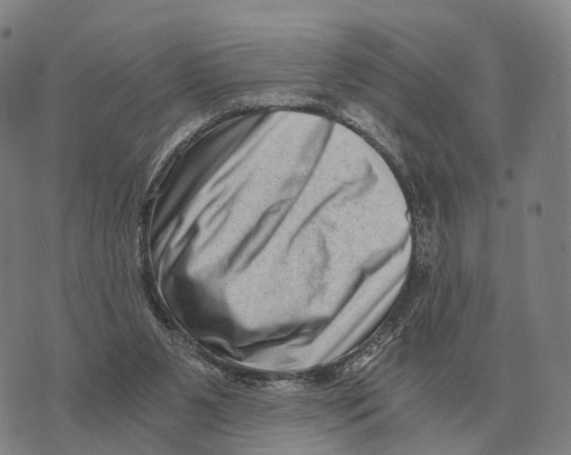 X0000073720111200608311829
