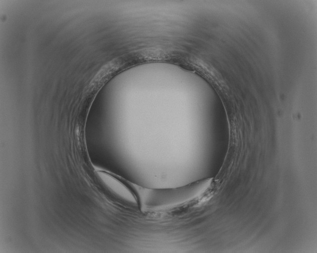 X0000073720117200608311829