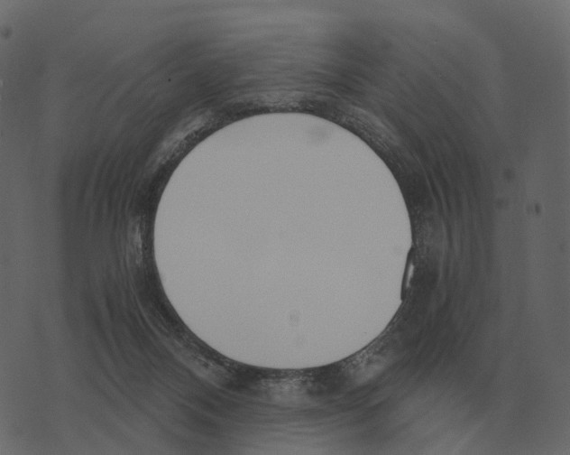 X0000073720120200608311829