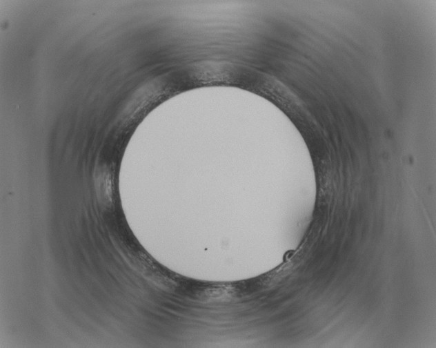 X0000073720124200608311829