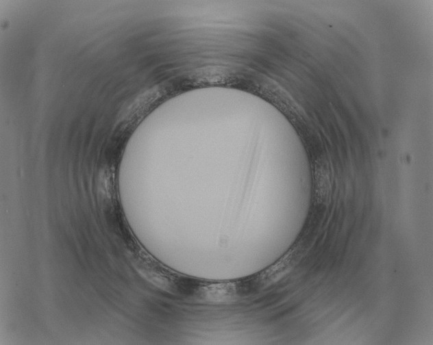 X0000073720126200608311829