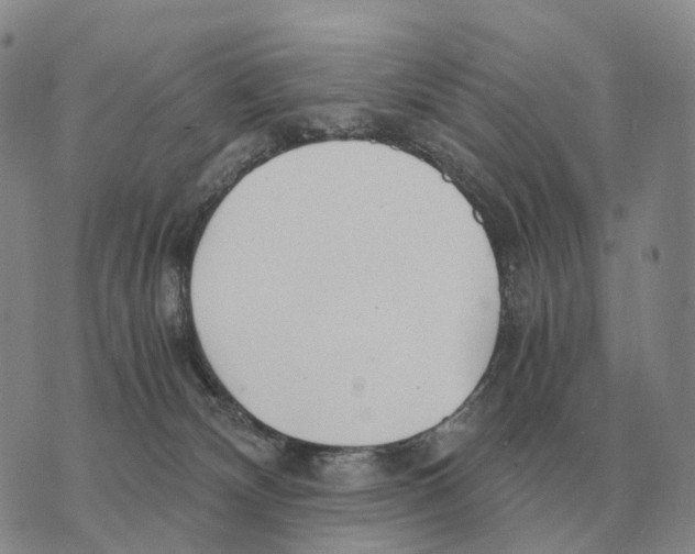 X0000073720132200608311829
