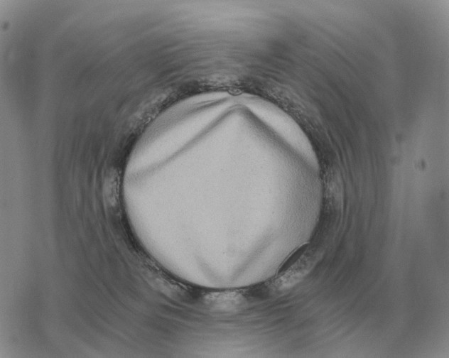 X0000073720133200608311829