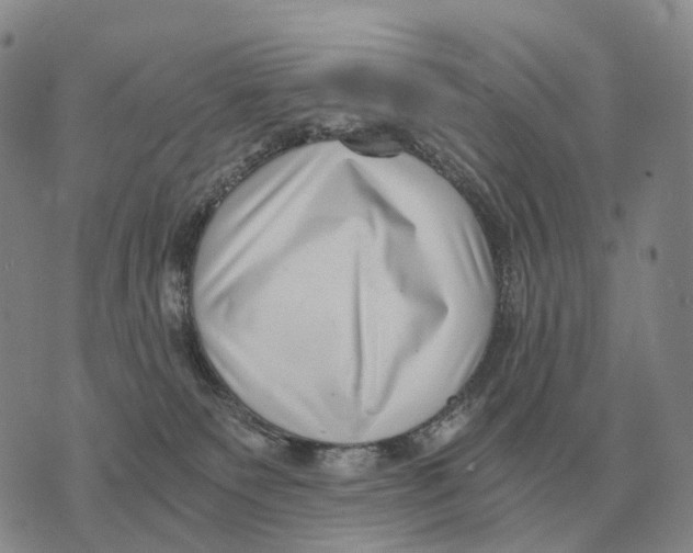 X0000073720135200608311829