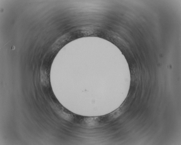 X0000073720136200608311829