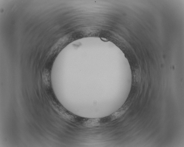 X0000073720138200608311829