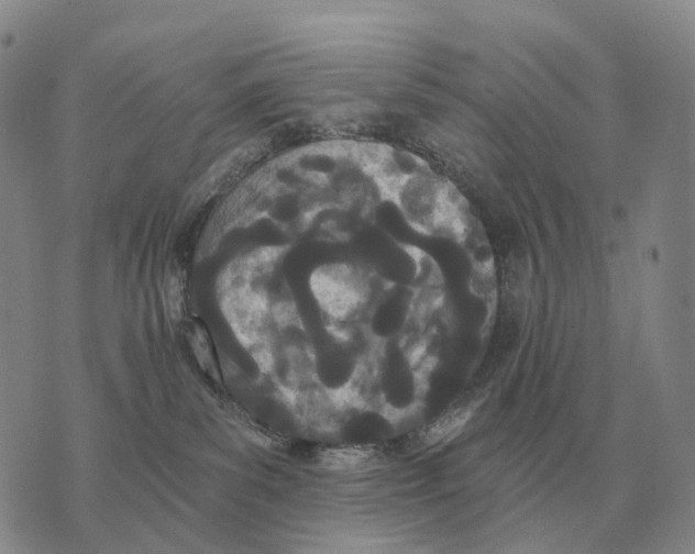 X0000073720139200608311829
