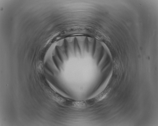 X0000073720141200608311829