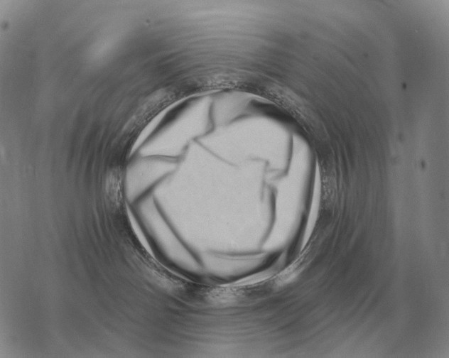 X0000073720142200608311829