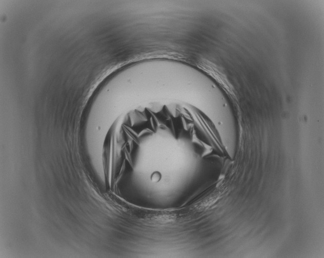 X0000073720156200608311828