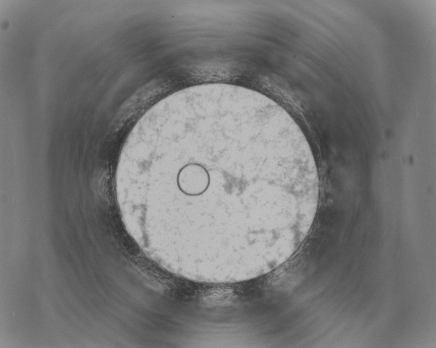 X0000073720162200608311828