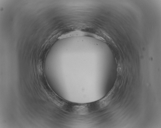 X0000073720170200608311828