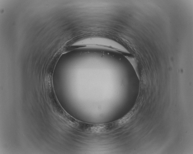 X0000073720172200608311828