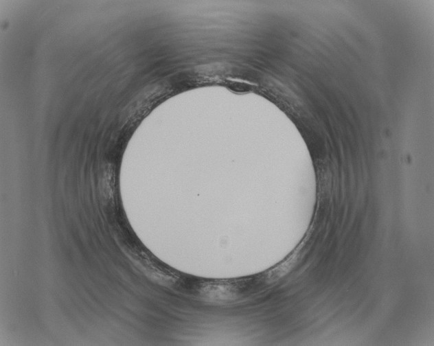 X0000073720174200608311828