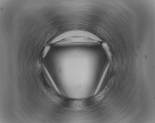 X0000073720176200608311828