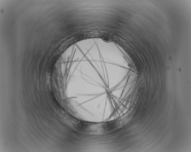 X0000073720178200608311829